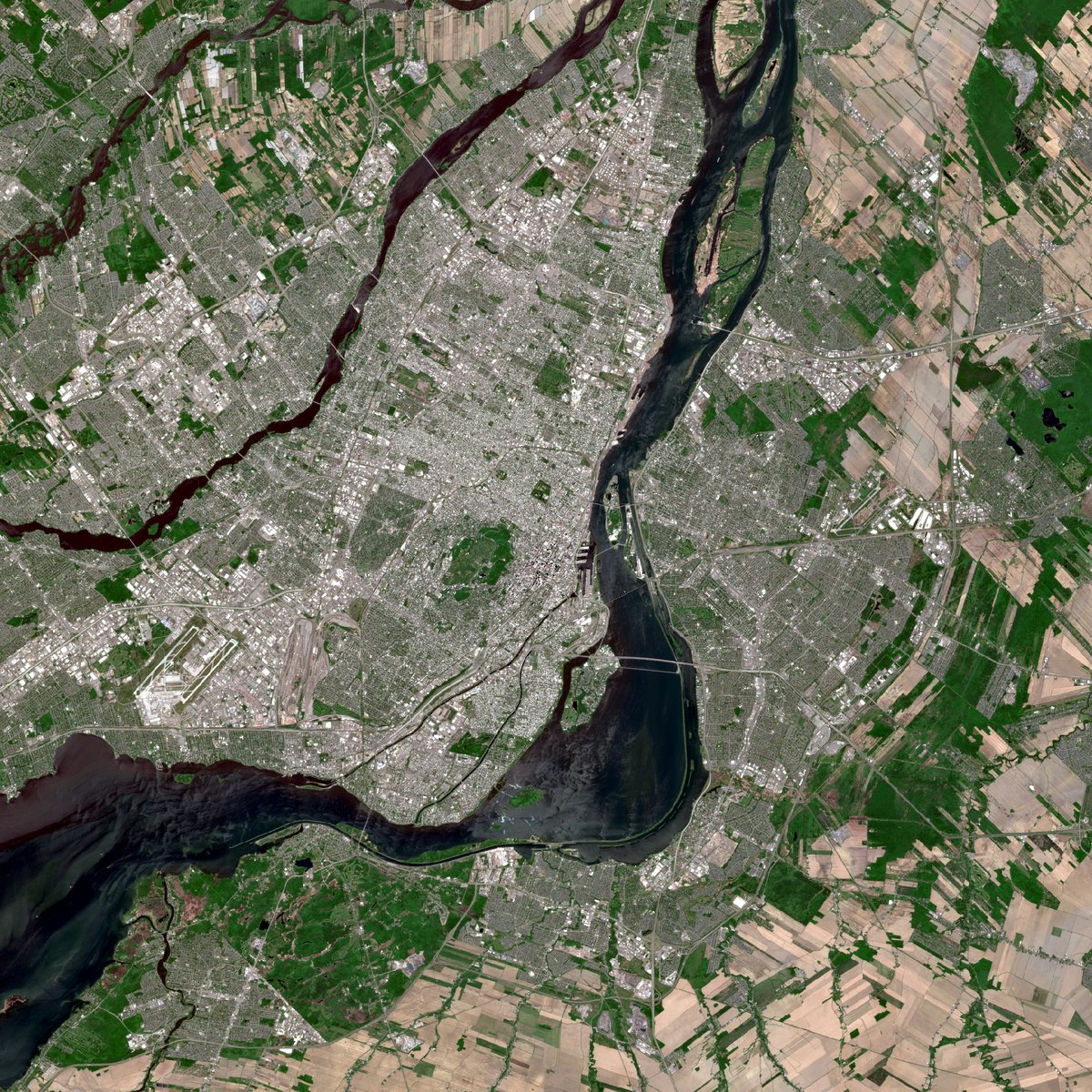 satellite image of a place I've been